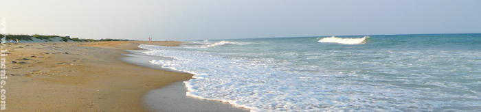 Post image for Life at the Beach
